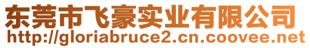 东莞市飞豪实业有限公司