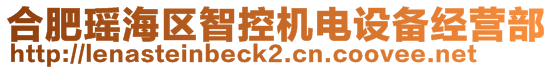 合肥瑤海區(qū)智控機(jī)電設(shè)備經(jīng)營部