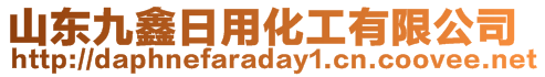 山东九鑫日用化工有限公司