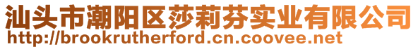 汕头市潮阳区莎莉芬实业有限公司