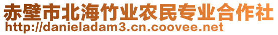 赤壁市北海竹業(yè)農民專業(yè)合作社