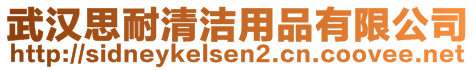 武漢思耐清潔用品有限公司