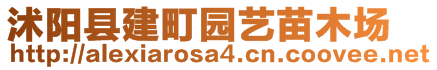 沭陽縣建町園藝苗木場