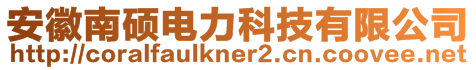 安徽南碩電力科技有限公司