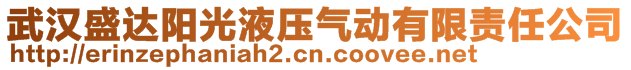 武汉盛达阳光液压气动有限责任公司