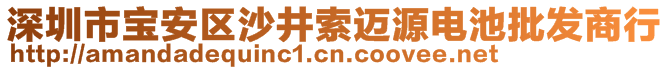 深圳市宝安区沙井索迈源电池批发商行