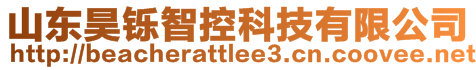 山東昊鑠智控科技有限公司