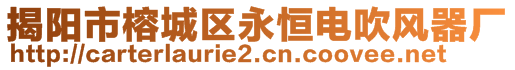 揭陽(yáng)市榕城區(qū)永恒電吹風(fēng)器廠