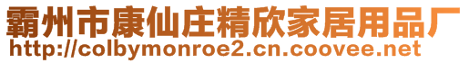 霸州市康仙莊精欣家居用品廠