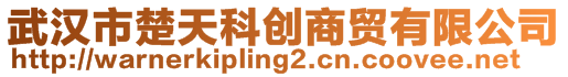 武漢市楚天科創商貿有限公司