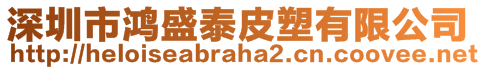 深圳市鴻盛泰皮塑有限公司