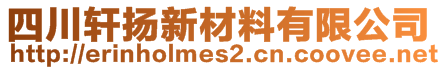 四川軒揚新材料有限公司