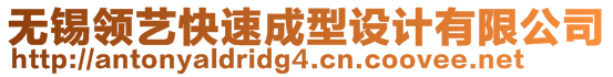 無錫領(lǐng)藝快速成型設(shè)計(jì)有限公司