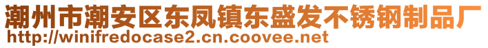 潮州市潮安區(qū)東鳳鎮(zhèn)東盛發(fā)不銹鋼制品廠