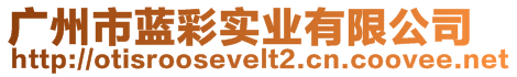廣州市藍彩實業有限公司