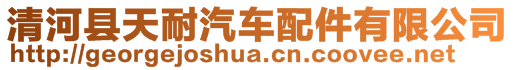 清河縣天耐汽車配件有限公司