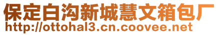 保定白沟新城慧文箱包厂