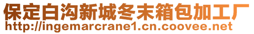保定白溝新城冬末箱包加工廠