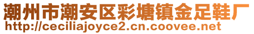 潮州市潮安區(qū)彩塘鎮(zhèn)金足鞋廠