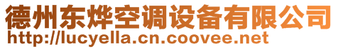 德州東燁空調(diào)設(shè)備有限公司