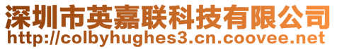 深圳市英嘉聯(lián)科技有限公司