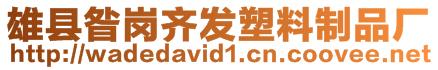 雄縣昝崗齊發(fā)塑料制品廠