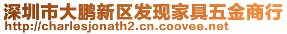 深圳市大鵬新區(qū)發(fā)現(xiàn)家具五金商行