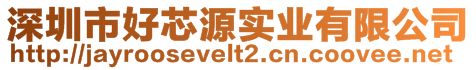 深圳市好芯源实业有限公司