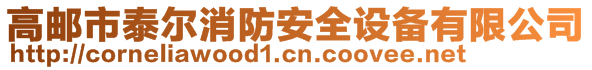 高郵市泰爾消防安全設備有限公司