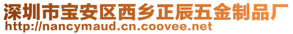 深圳市寶安區(qū)西鄉(xiāng)正辰五金制品廠