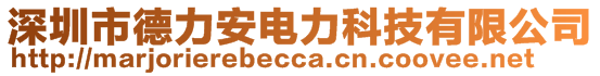 深圳市德力安電力科技有限公司