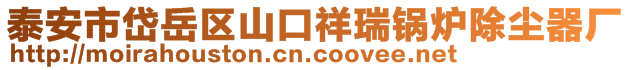 泰安市岱岳区山口祥瑞锅炉除尘器厂