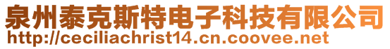 泉州泰克斯特电子科技有限公司