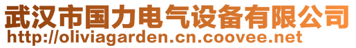 武漢市國(guó)力電氣設(shè)備有限公司