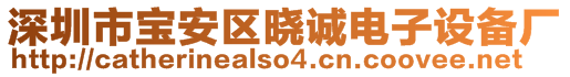 深圳市寶安區(qū)曉誠電子設(shè)備廠