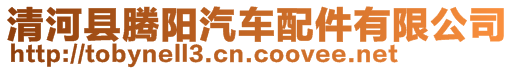 清河縣騰陽(yáng)汽車配件有限公司