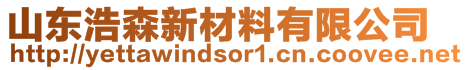 山東浩森新材料有限公司