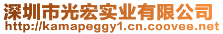 深圳市光宏實業(yè)有限公司