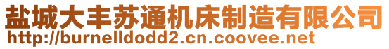 鹽城大豐蘇通機床制造有限公司