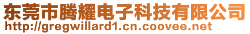 東莞市騰耀電子科技有限公司