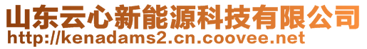 山东云心新能源科技有限公司