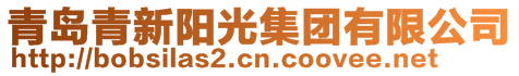 青島青新陽光集團有限公司