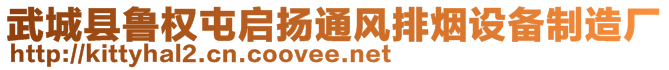 武城縣魯權(quán)屯啟揚(yáng)通風(fēng)排煙設(shè)備制造廠