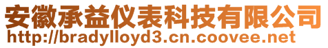 安徽承益儀表科技有限公司