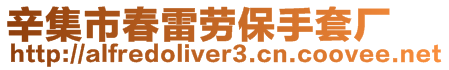 辛集市春雷勞保手套廠