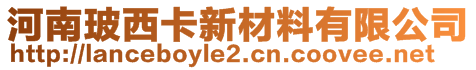 河南玻西卡新材料有限公司