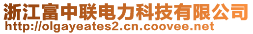 浙江富中聯電力科技有限公司