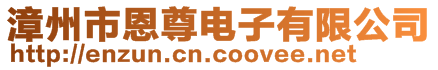 漳州市恩尊電子有限公司