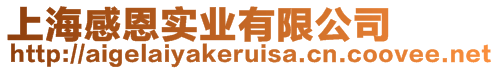上海感恩實業有限公司