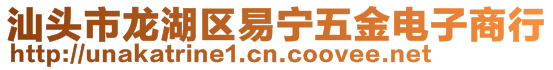 汕头市龙湖区易宁五金电子商行